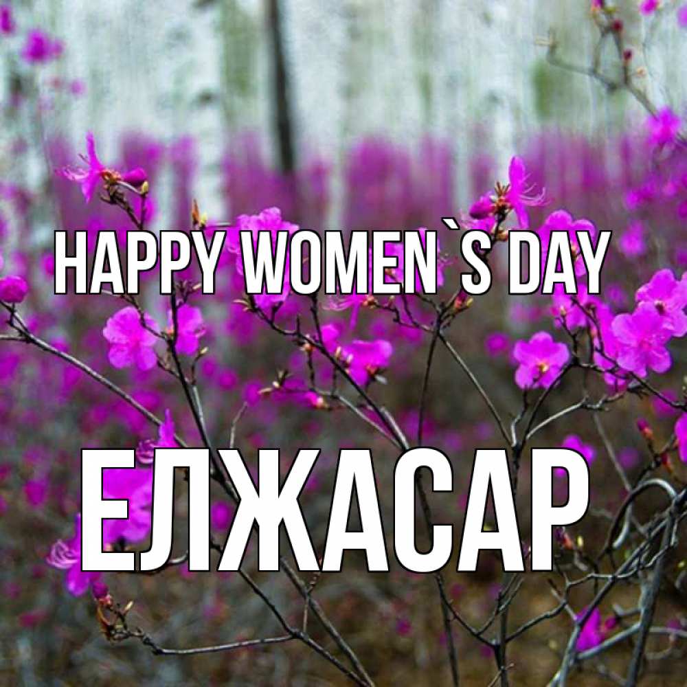 Greetings card с именем, Елжасар happy women`s day дикие цветы Greetings with text for free download 